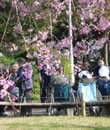 画像_見学・体験